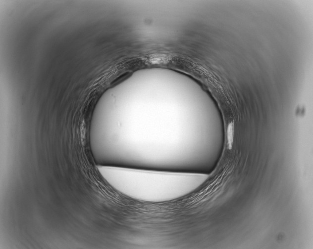 X0000099561443200805160739