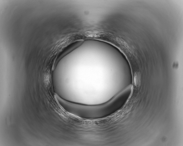 X0000099561444200805160739