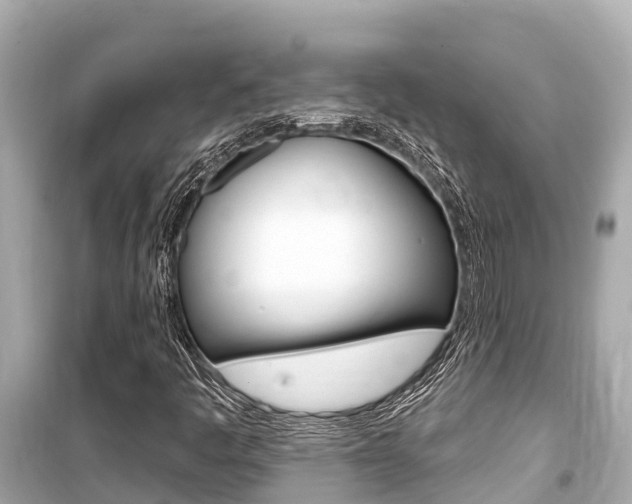 X0000099561445200805160739