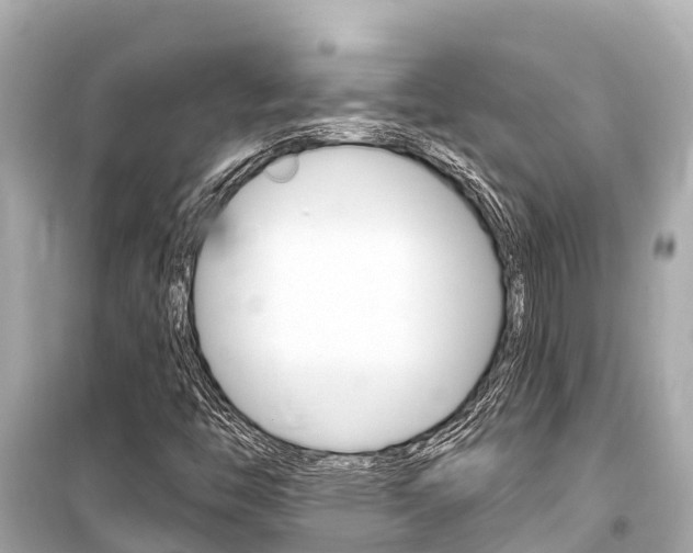 X0000099561446200805160739