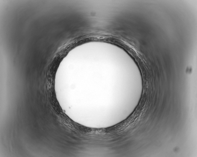 X0000099561447200805160739