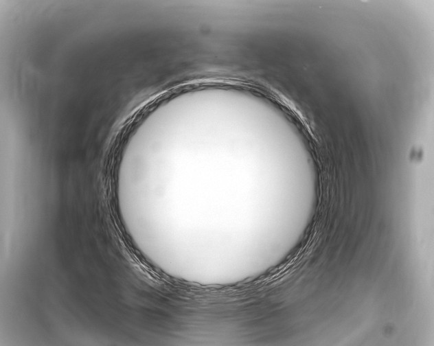 X0000099561448200805160739