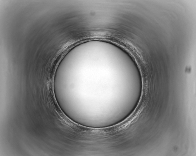 X0000099561449200805160739