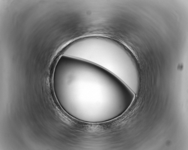 X0000099561452200805160739