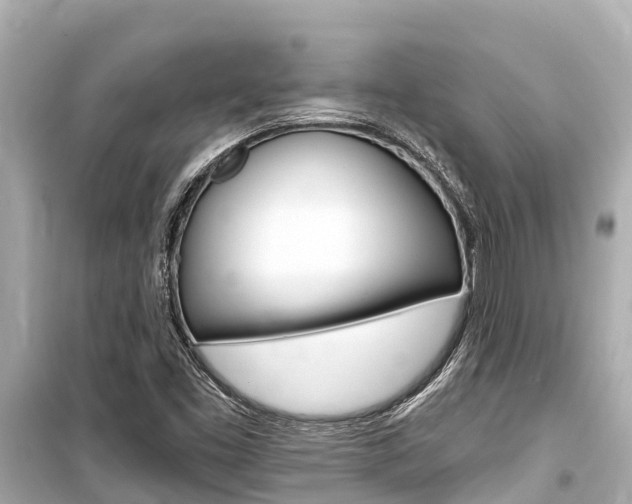 X0000099561453200805160739