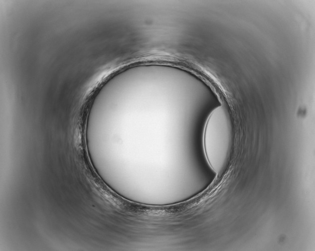 X0000099561455200805160739