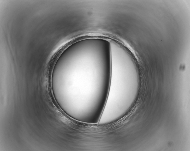 X0000099561456200805160739