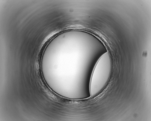 X0000099561458200805160739
