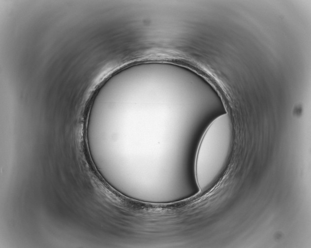 X0000099561459200805160739