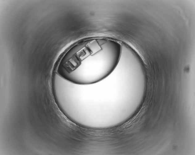 X0000099561460200805160739
