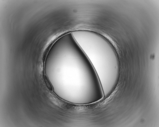 X0000099561461200805160738