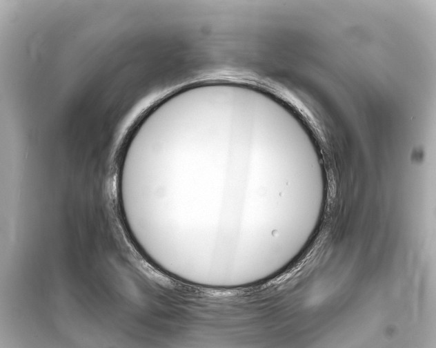 X0000099561462200805160738