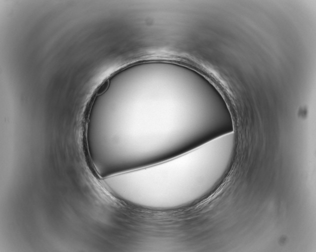 X0000099561463200805160738