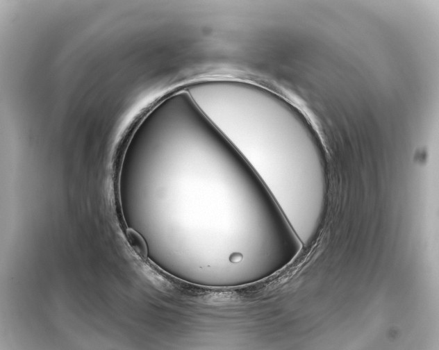 X0000099561464200805160738