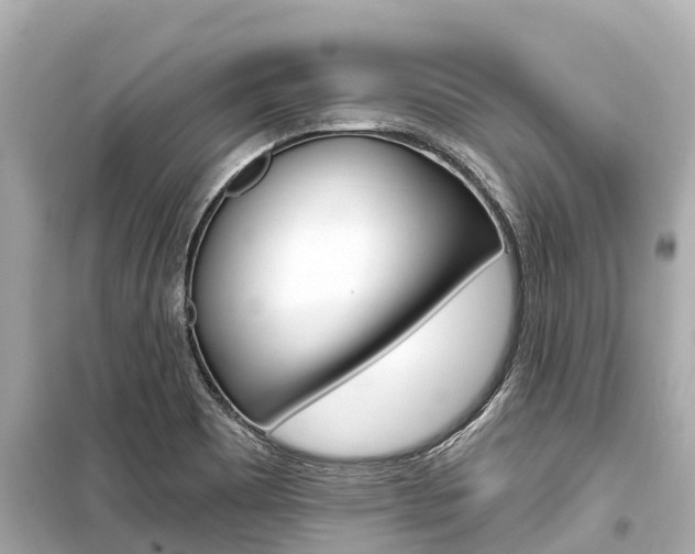 X0000099561465200805160738