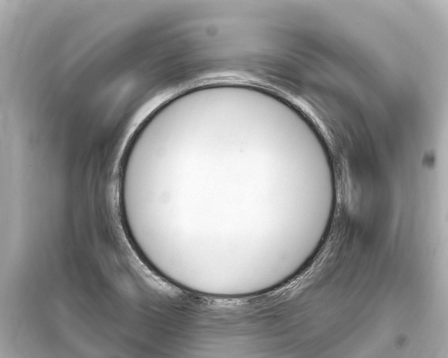 X0000099561466200805160738