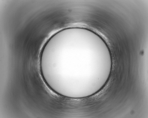 X0000099561470200805160738