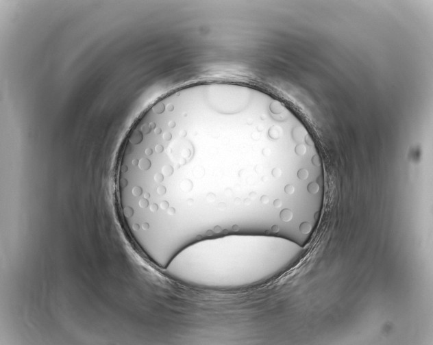 X0000099561471200805160738