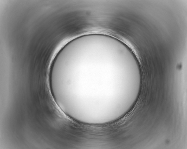 X0000099561472200805160738