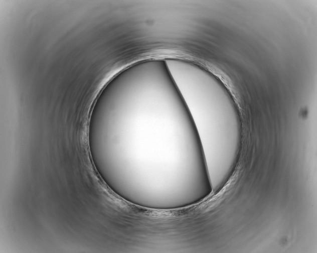X0000099561473200805160738