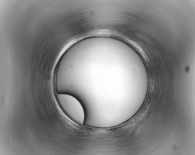 X0000099561475200805160738