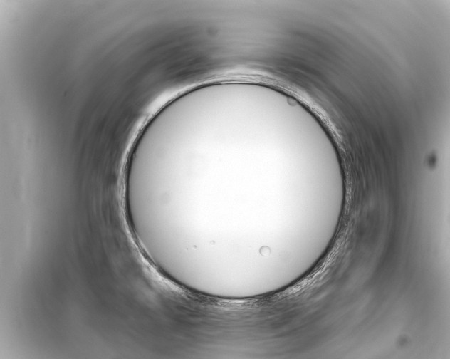 X0000099561478200805160738