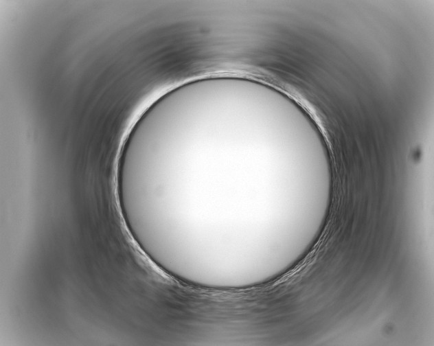 X0000099561480200805160738
