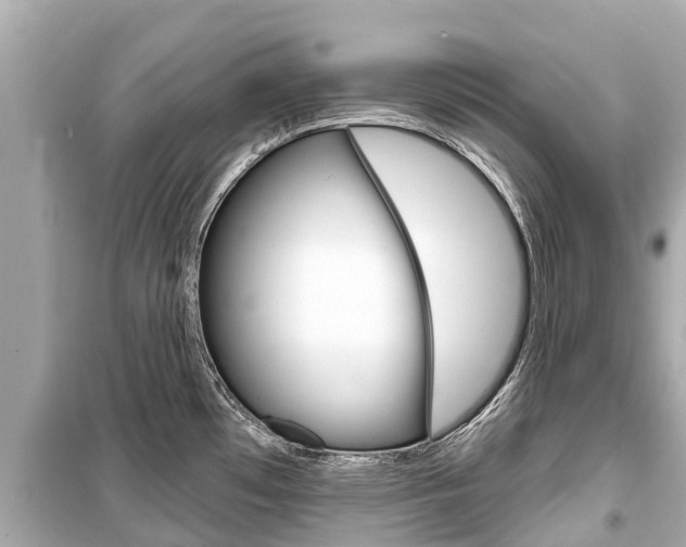 X0000099561481200805160738