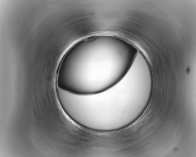 X0000099561484200805160738