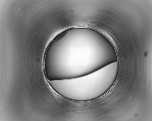 X0000099561485200805160738