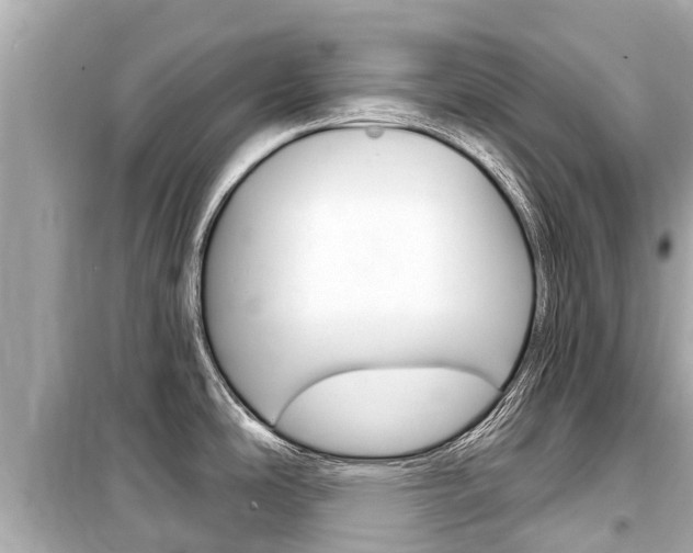 X0000099561486200805160738