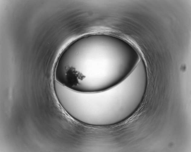 X0000099561488200805160738
