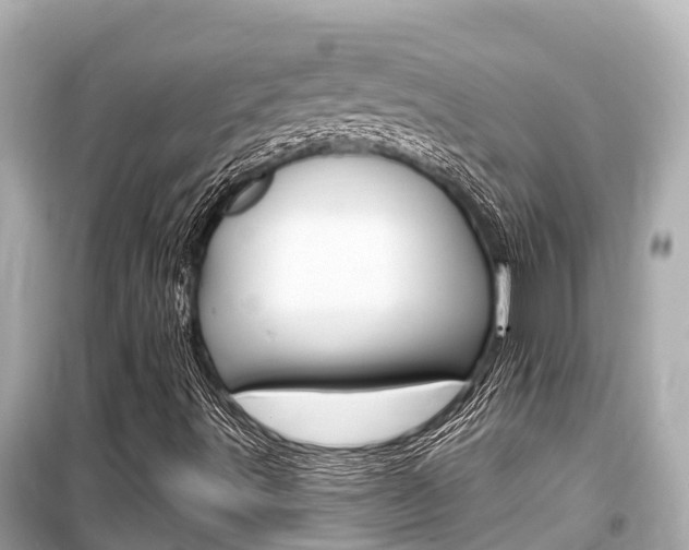 X0000099561491200805160737