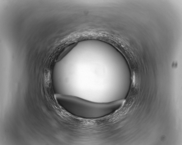X0000099561492200805160737