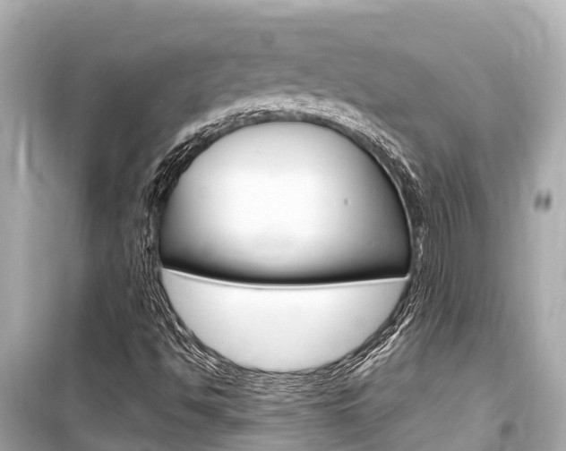 X0000099561494200805160737