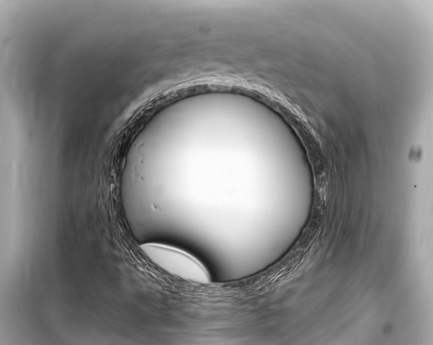 X0000099561495200805160737