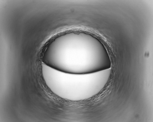 X0000099561496200805160737