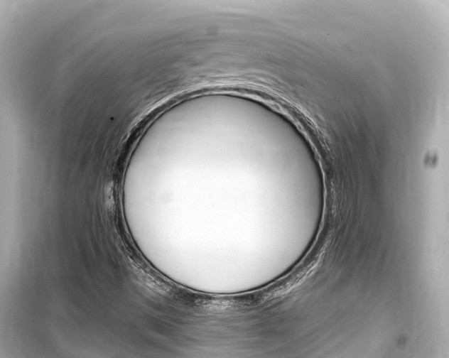 X0000099561497200805160737