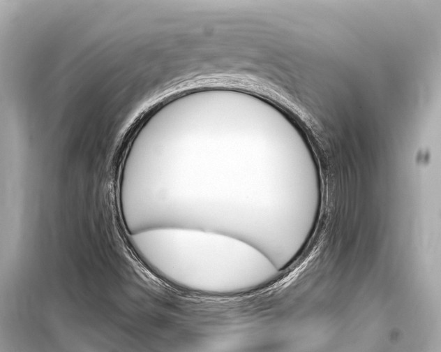 X0000099561498200805160737