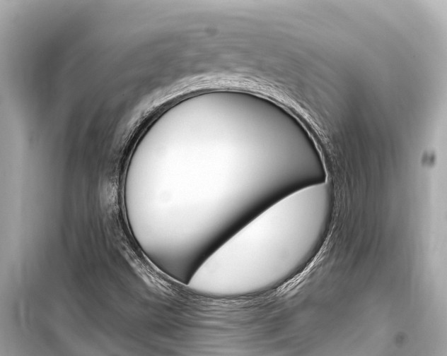 X0000099561499200805160737