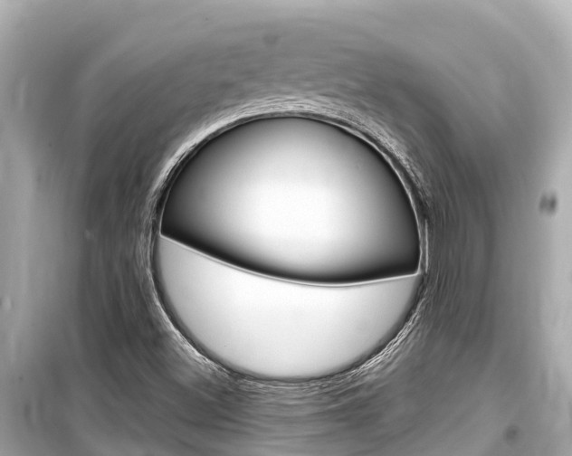 X0000099561500200805160737