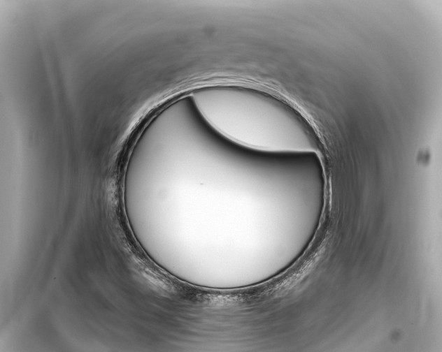 X0000099561501200805160737
