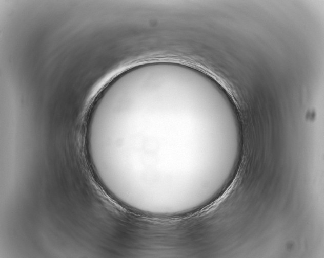 X0000099561502200805160737