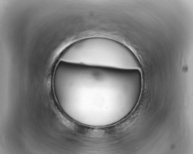 X0000099561503200805160737