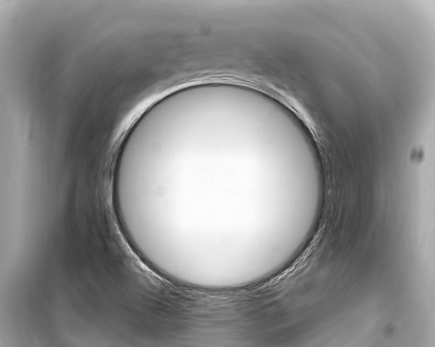 X0000099561504200805160737
