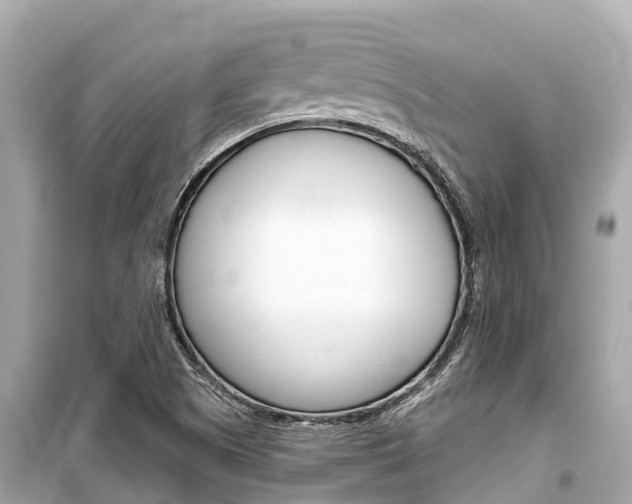 X0000099561505200805160738