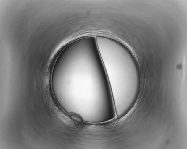 X0000099561506200805160738