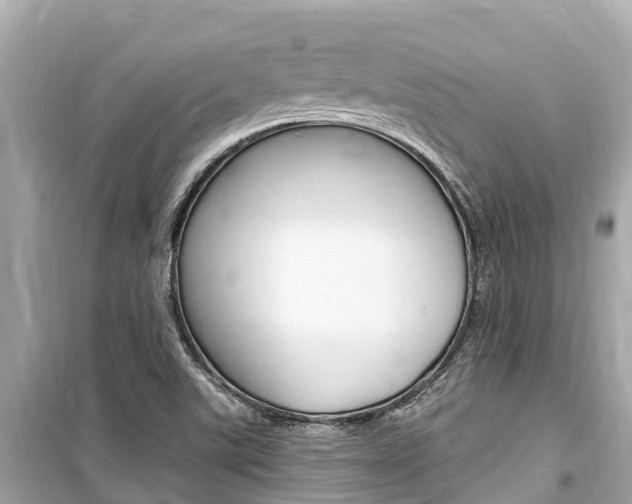 X0000099561507200805160738