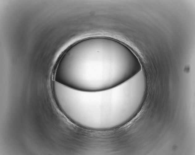 X0000099561510200805160738
