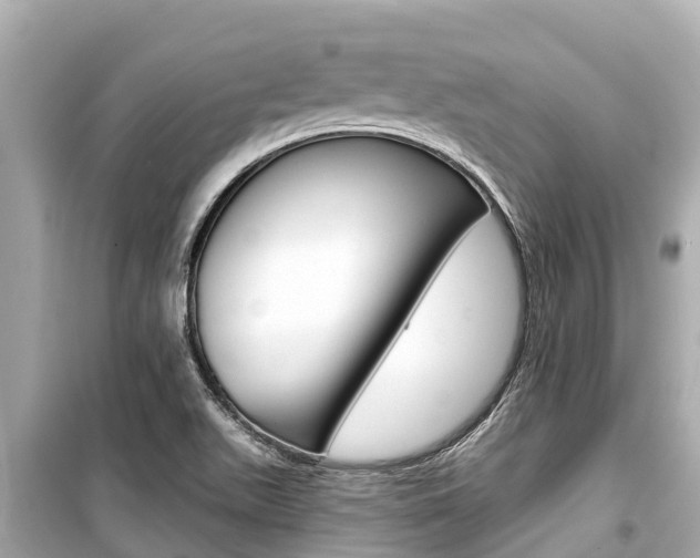 X0000099561511200805160738